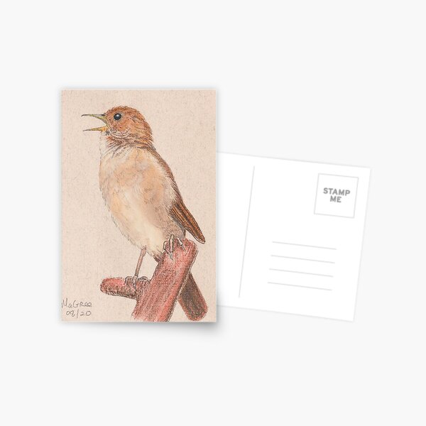 Nightingale/Rossignol Postcard