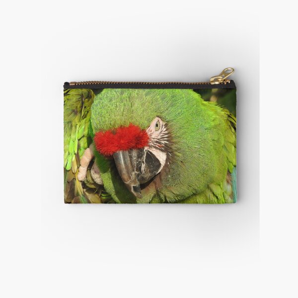 Item preview, Macaw  designed and sold by StudioCorvid.