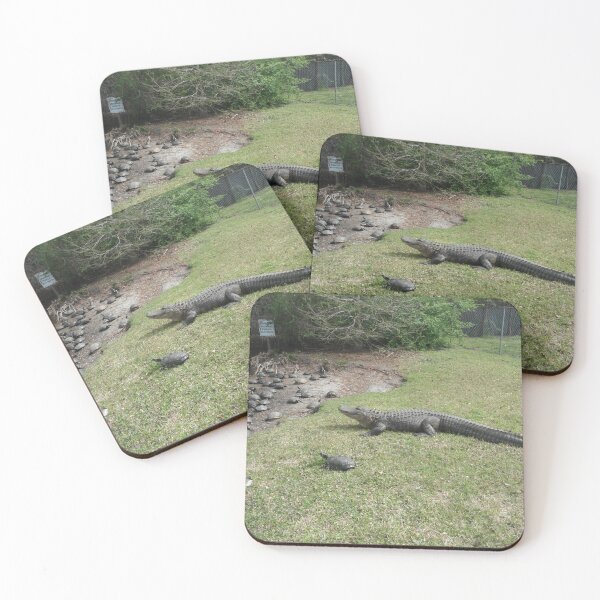 Item preview, desperate circumstances designed and sold by themexicanduck.