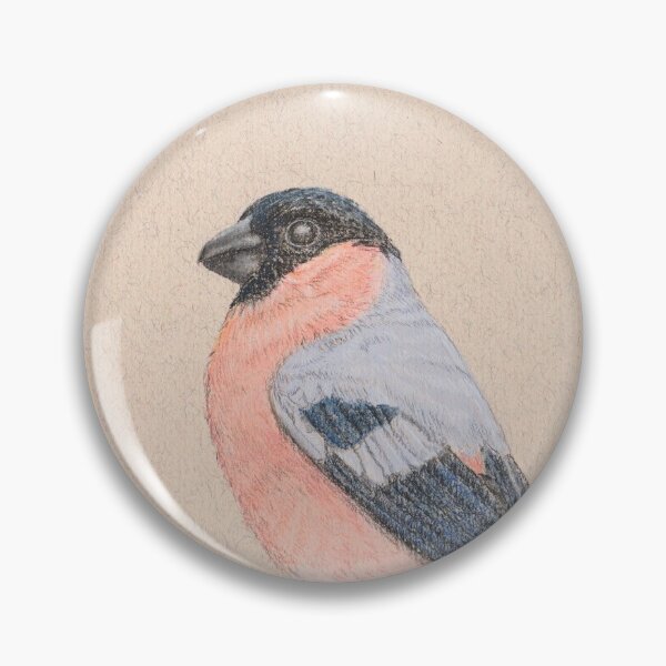 Bullfinch/bouvreuil Pin