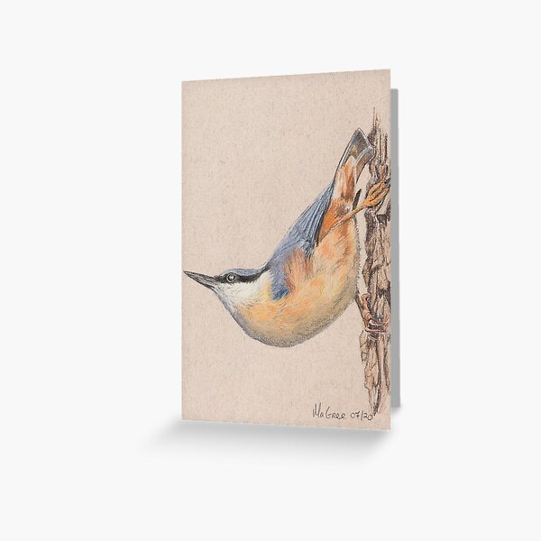 Nuthatch/Sittelle Greeting Card