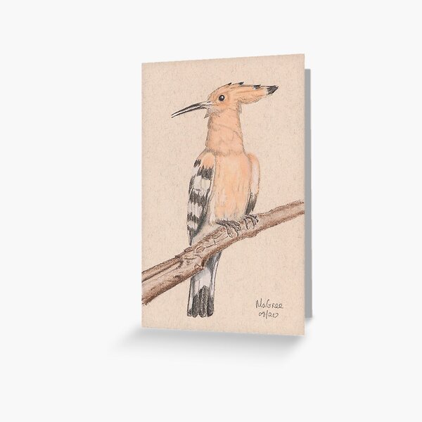 Hoopoe/Huppe Greeting Card
