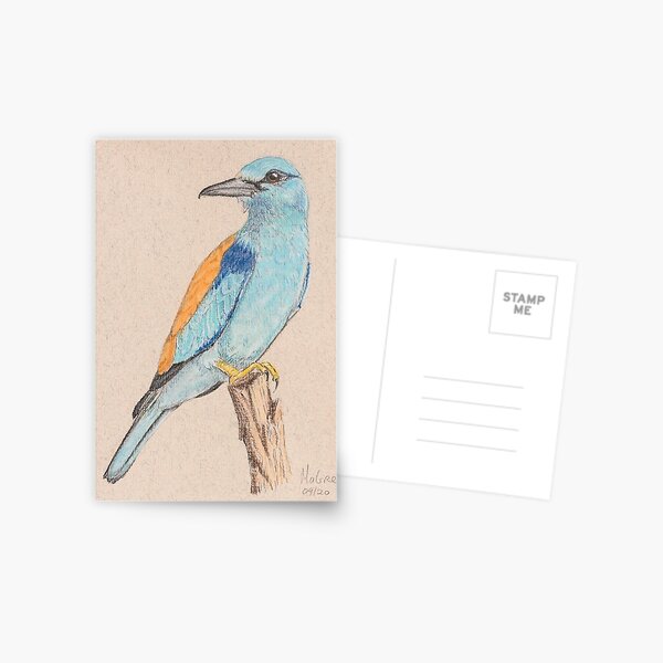 Roller/Rollier Postcard