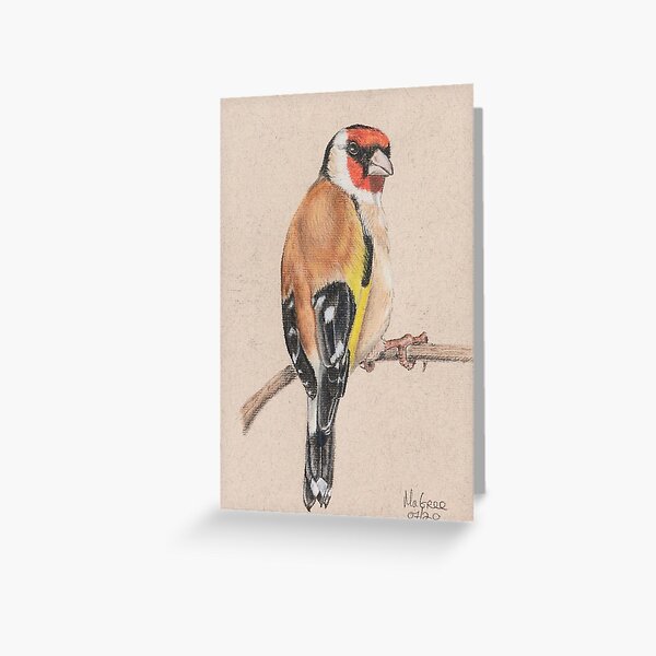 Goldfinch/Chardonneret Greeting Card