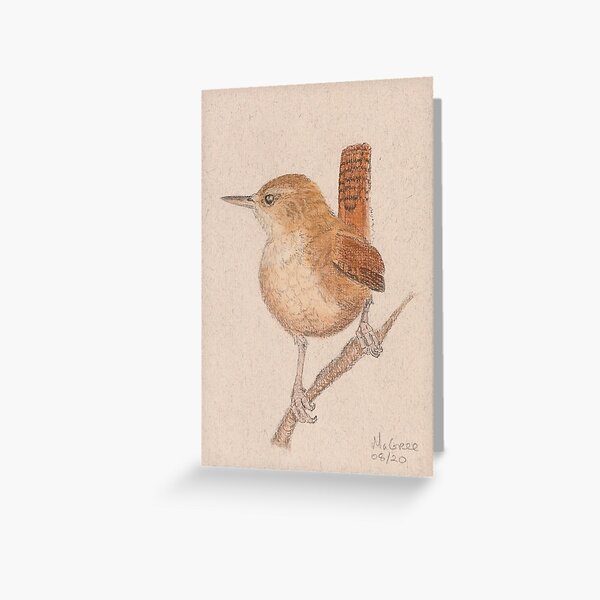 Wren/Roitelet Greeting Card