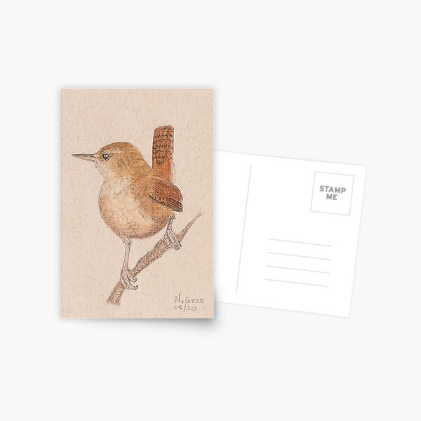 Wren/Roitelet Postcard