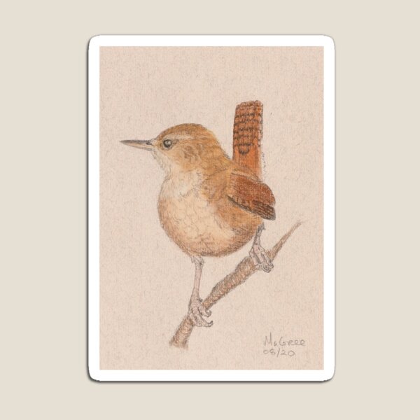 Wren/Roitelet Magnet