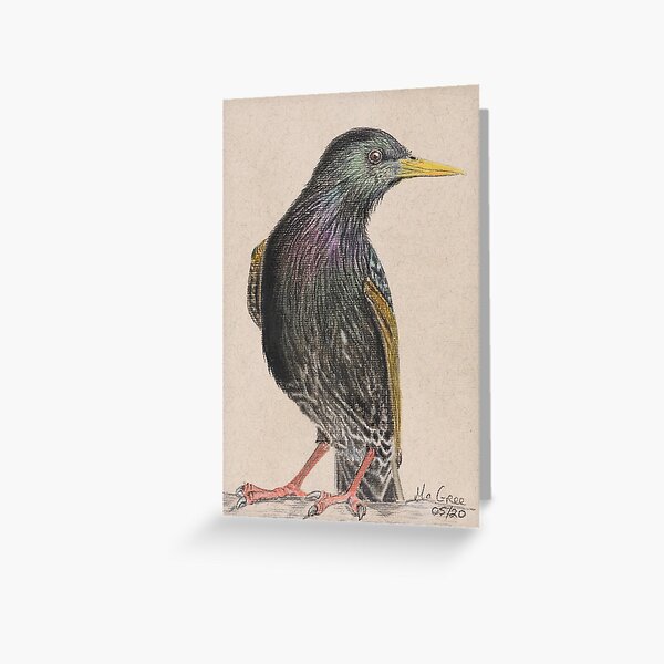 Starling/Etorneau Greeting Card