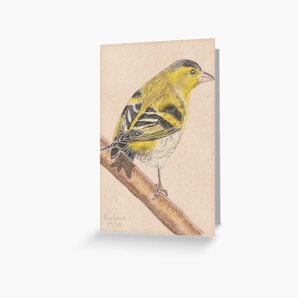 Siskin/Tarin des Aulnes Greeting Card