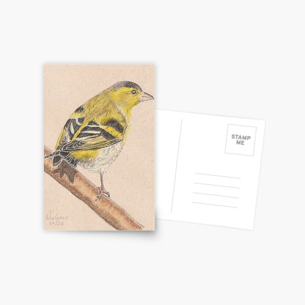 Siskin/Tarin des Aulnes Postcard