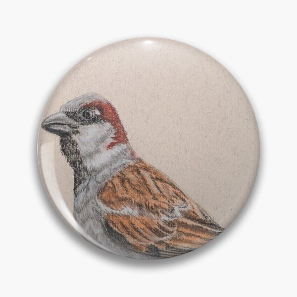 House Sparrow/Moineau Pin