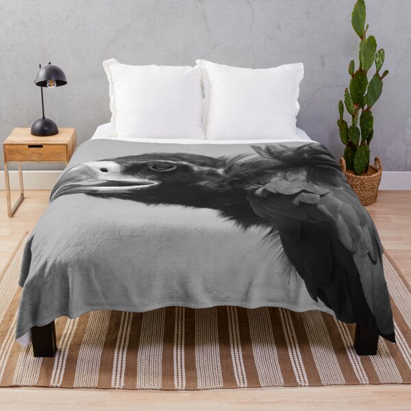 Item preview, Black vulture close-up designed and sold by silbart.