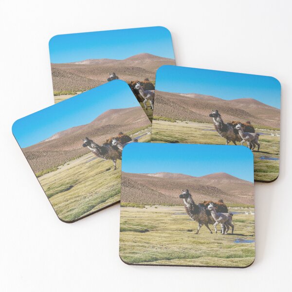 Item preview, Mother and Baby Llama in Bolivia designed and sold by Carrie Lyman Photography.