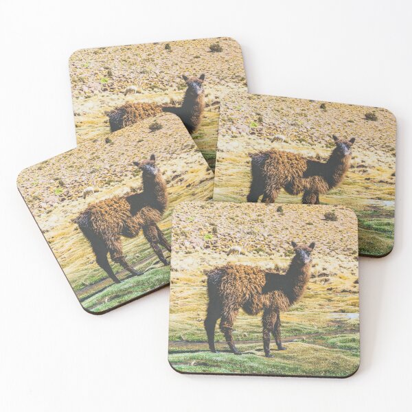Item preview, Wandering Llama in the Bolivian Desert designed and sold by Carrie Lyman Photography.