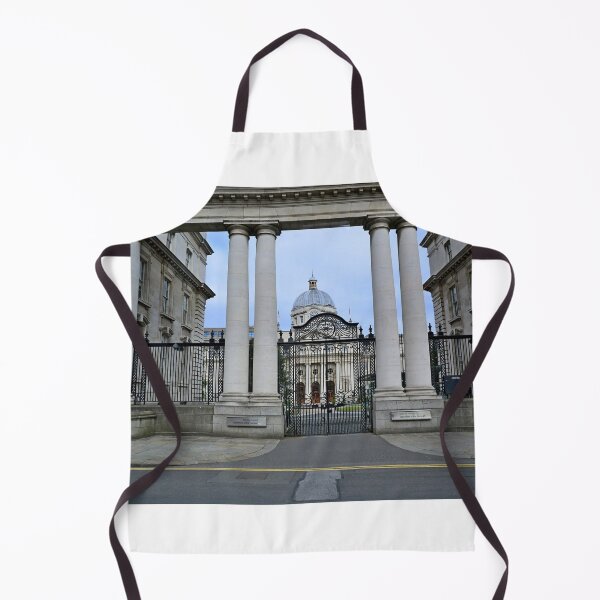 Item preview, Government Buildings of Dublin designed and sold by annalisa56.