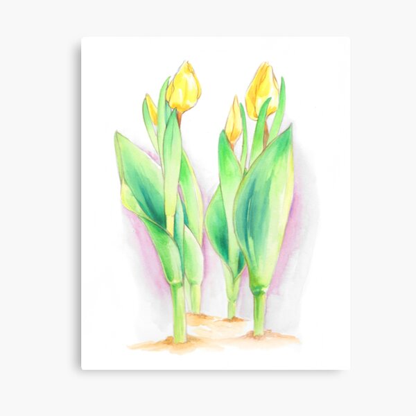 Tullies Canvas Print