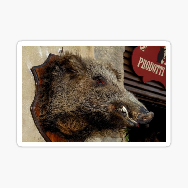 Item preview, Head of wild boar advertises traditional Tuscan food designed and sold by Terence Kerr.