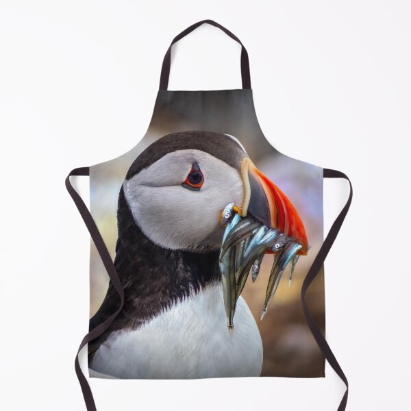 Item preview, Catch of the Day designed and sold by Viv Thompson Photography .