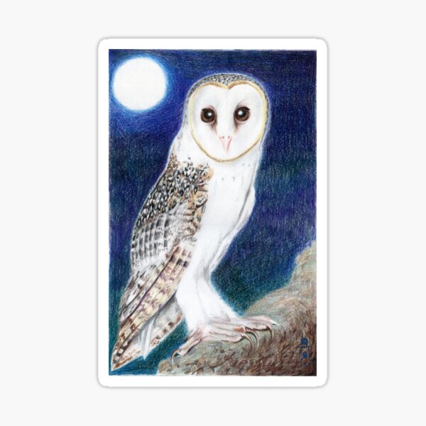 Mid-Summer's Eve: Barn owl Sticker