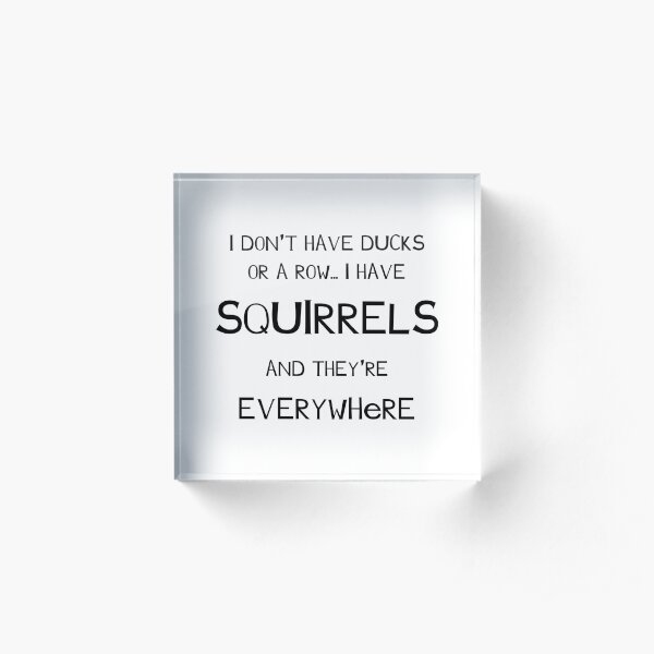 I dont Have Ducks or a Row. I have Squirrels and they Are everywhere. Scatterbrain, funny, shirt design Acrylic Block
