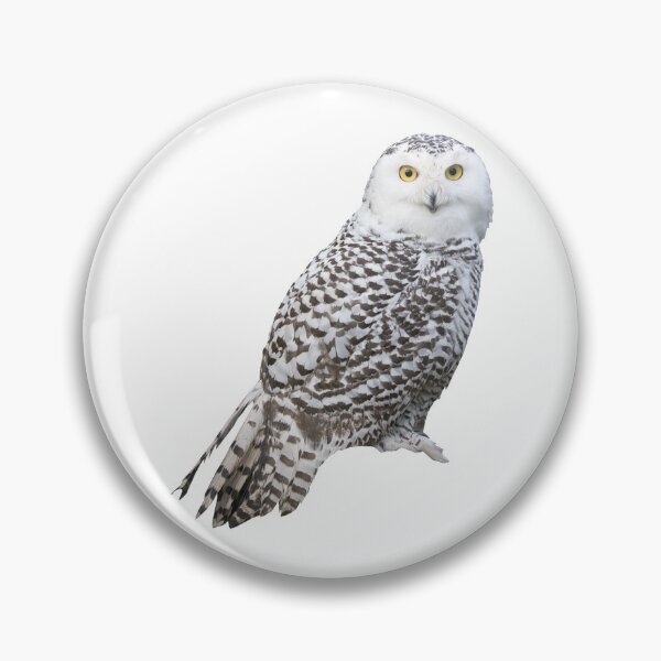 Item preview, Snowy Owl designed and sold by DoodleDashCollective.
