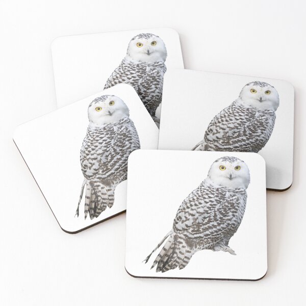 Item preview, Snowy Owl designed and sold by DoodleDashCollective.