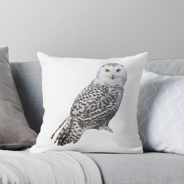 Item preview, Snowy Owl designed and sold by DoodleDashCollective.