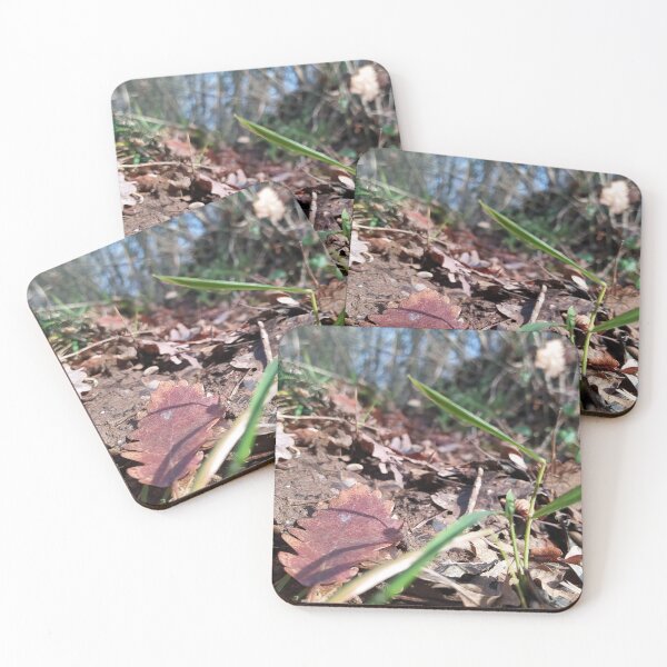 Item preview, Grass and leaves designed and sold by HogashArtShop.