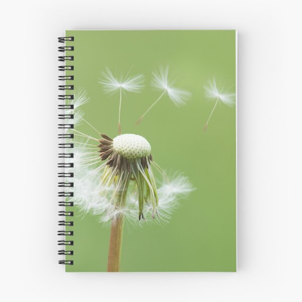 Item preview, Dandelion designed and sold by Ingo Gerlach.