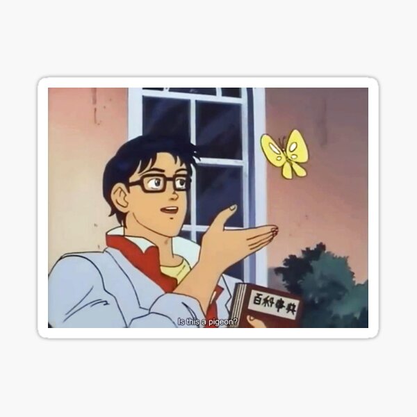 Is this a meme the confused anime guy and his butterfly explained  Vox
