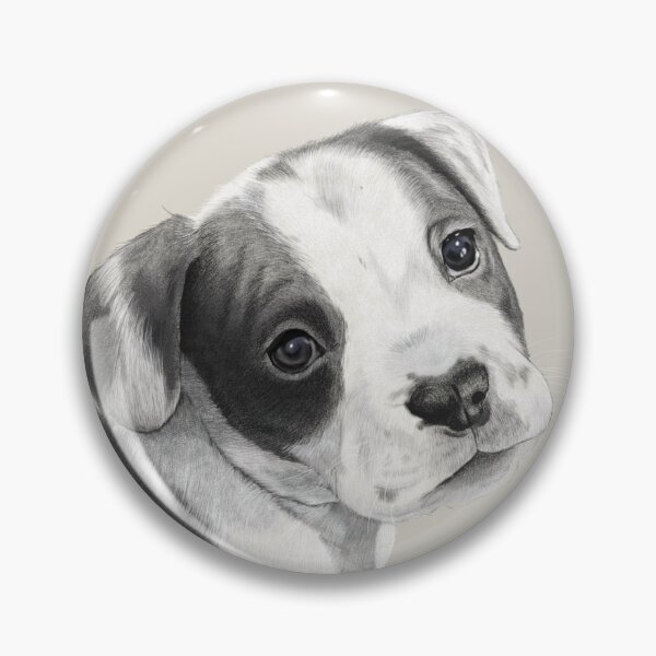 Item preview, Alpha - American Stanford designed and sold by ZireaelArt.