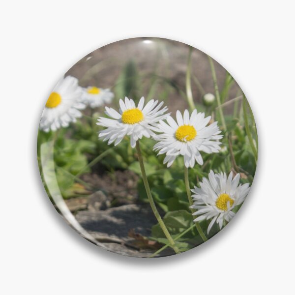 Item preview, white and yellow daisies with green foliage next to the stone designed and sold by nataliavavilina.