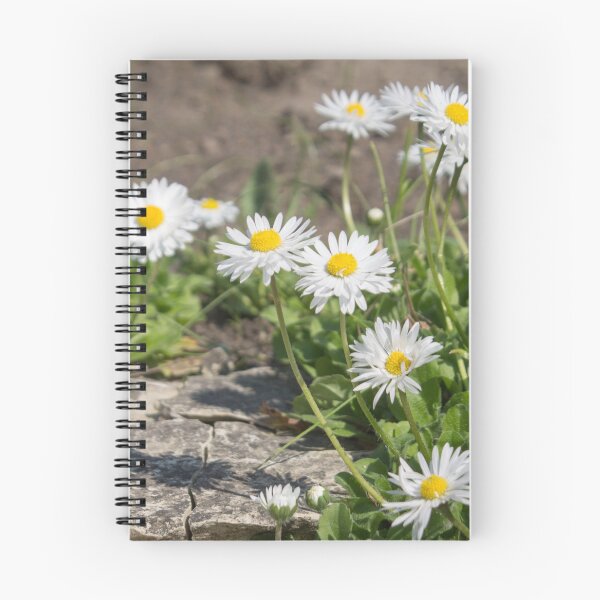 Item preview, white and yellow daisies with green foliage next to the stone designed and sold by nataliavavilina.