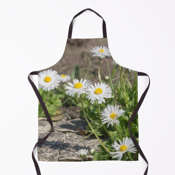 Item preview, white and yellow daisies with green foliage next to the stone designed and sold by nataliavavilina.