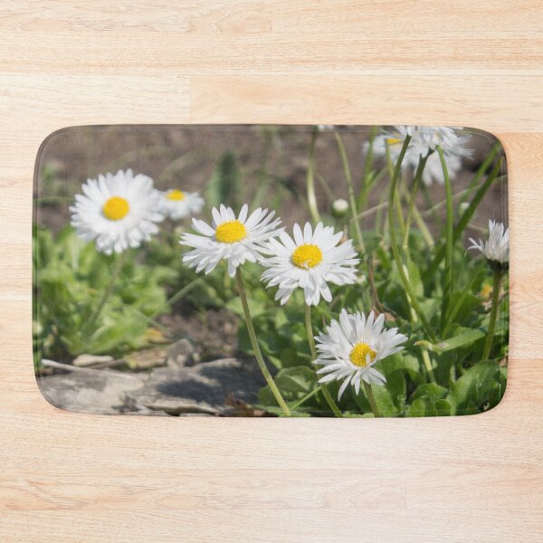 Item preview, white and yellow daisies with green foliage next to the stone designed and sold by nataliavavilina.
