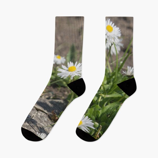 Item preview, white and yellow daisies with green foliage next to the stone designed and sold by nataliavavilina.