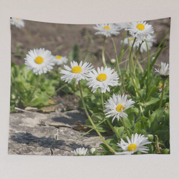 Item preview, white and yellow daisies with green foliage next to the stone designed and sold by nataliavavilina.