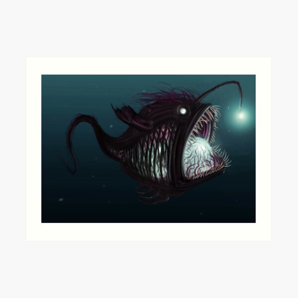 Angler Fish Art Prints Redbubble