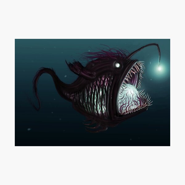Deep sea angler - Diceratias nassa Photographic Print