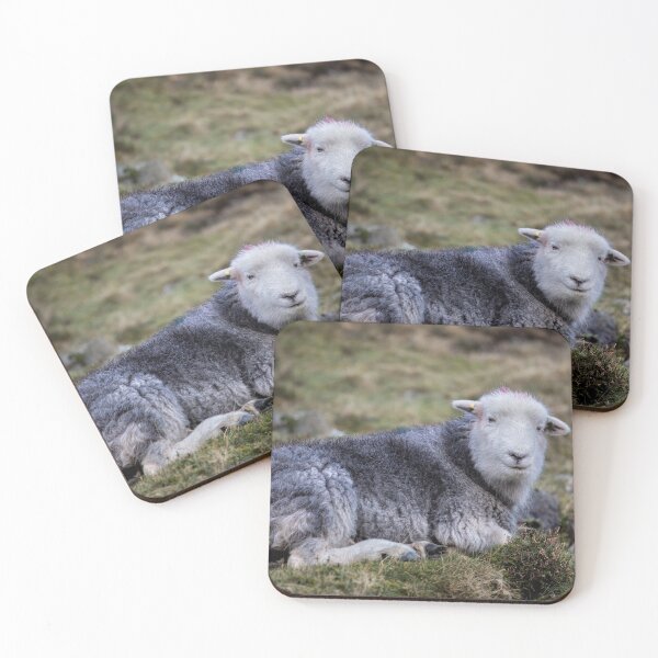 Item preview, Lake District Herdwick Sheep designed and sold by Phil Buckle.