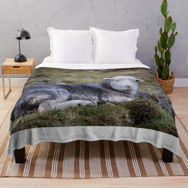Item preview, Lake District Herdwick Sheep designed and sold by Phil Buckle.