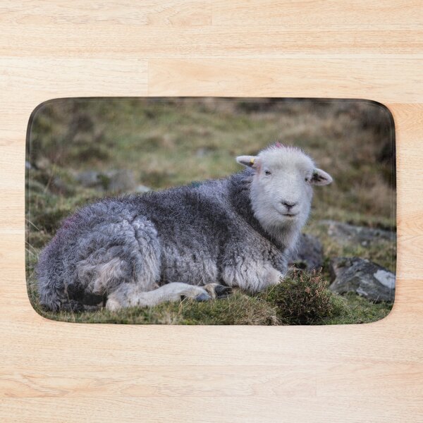 Item preview, Lake District Herdwick Sheep designed and sold by Phil Buckle.