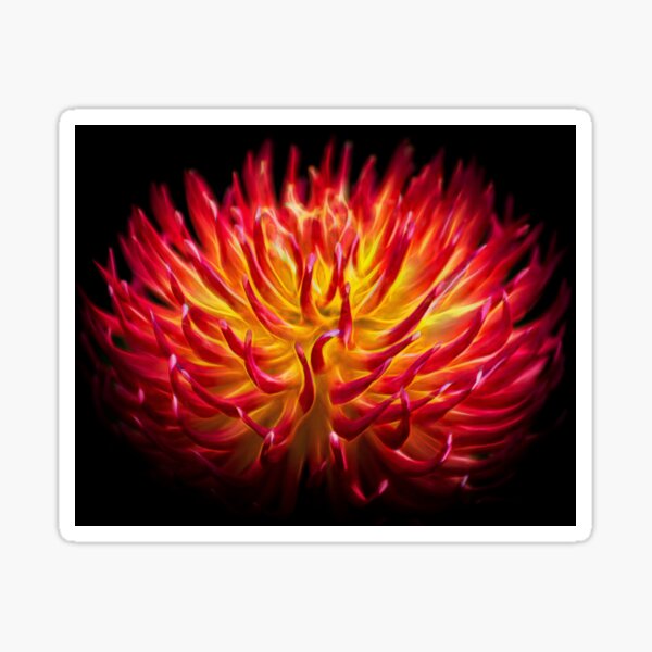 Flower dance Sticker