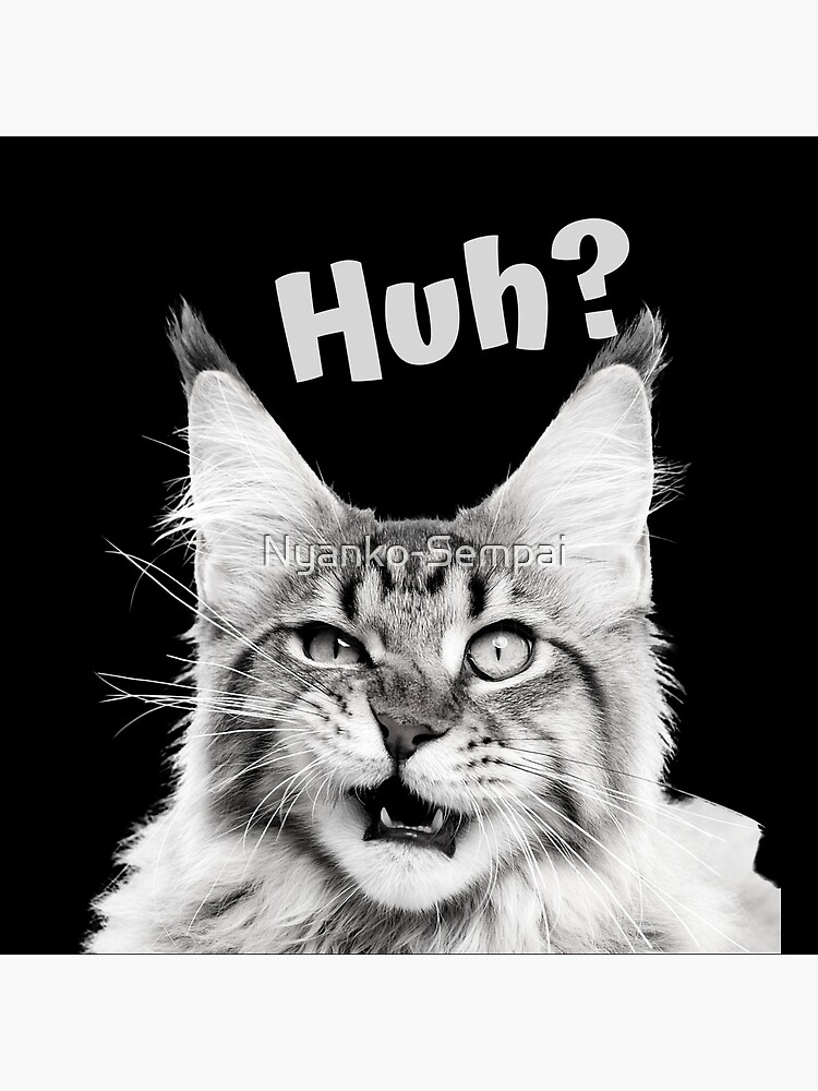 "Huh?" Funny confused cat by Nyanko-Sempai