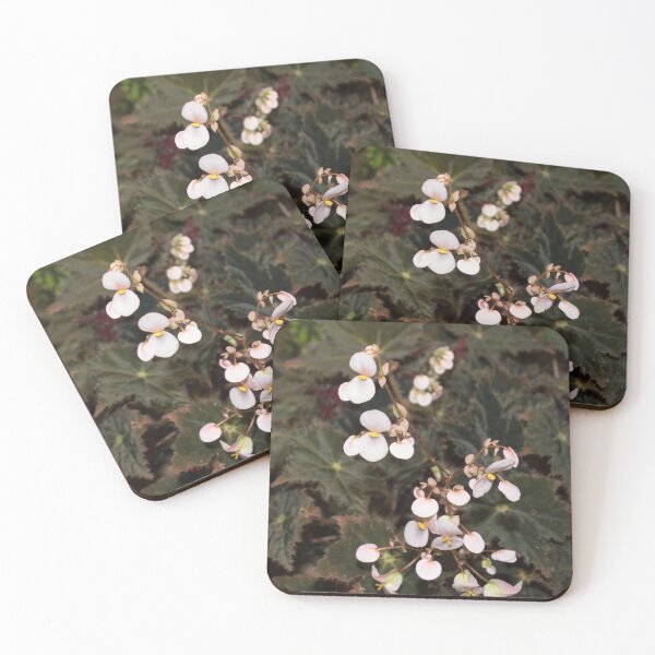 Item preview, small pink flowers with a yellow center on a background of dark green foliage designed and sold by nataliavavilina.