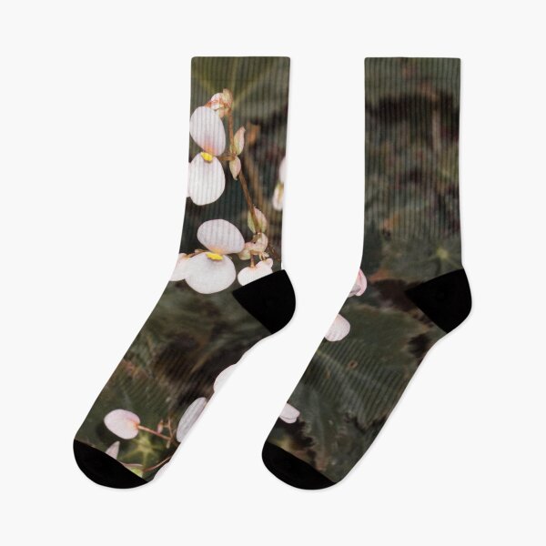 Item preview, small pink flowers with a yellow center on a background of dark green foliage designed and sold by nataliavavilina.