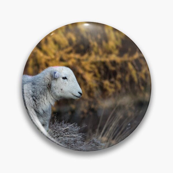 Item preview, Ullswater Herdwick Sheep designed and sold by Phil Buckle.