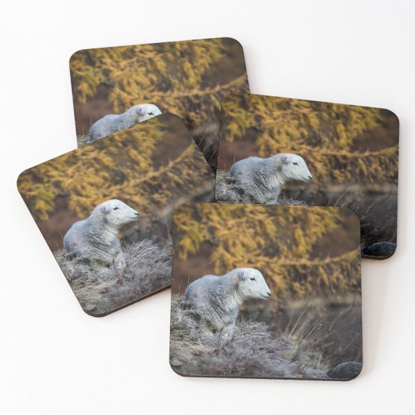 Item preview, Ullswater Herdwick Sheep designed and sold by Phil Buckle.