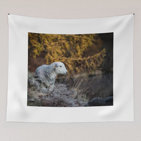 Item preview, Ullswater Herdwick Sheep designed and sold by Phil Buckle.