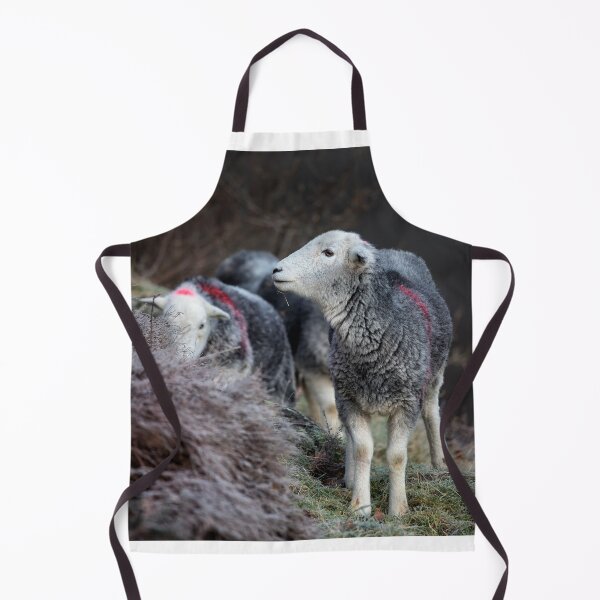Item preview, Ullswater Herdwick Sheep designed and sold by Phil Buckle.